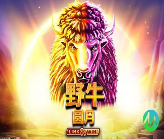 任性足球